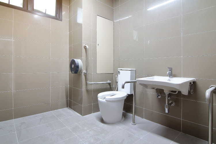 Toilet Safety Frames And Rails